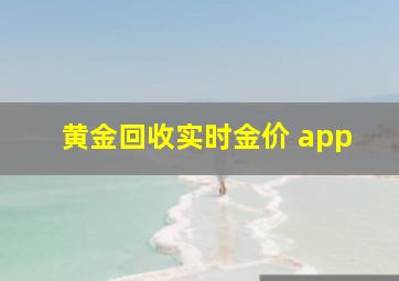 黄金回收实时金价 app